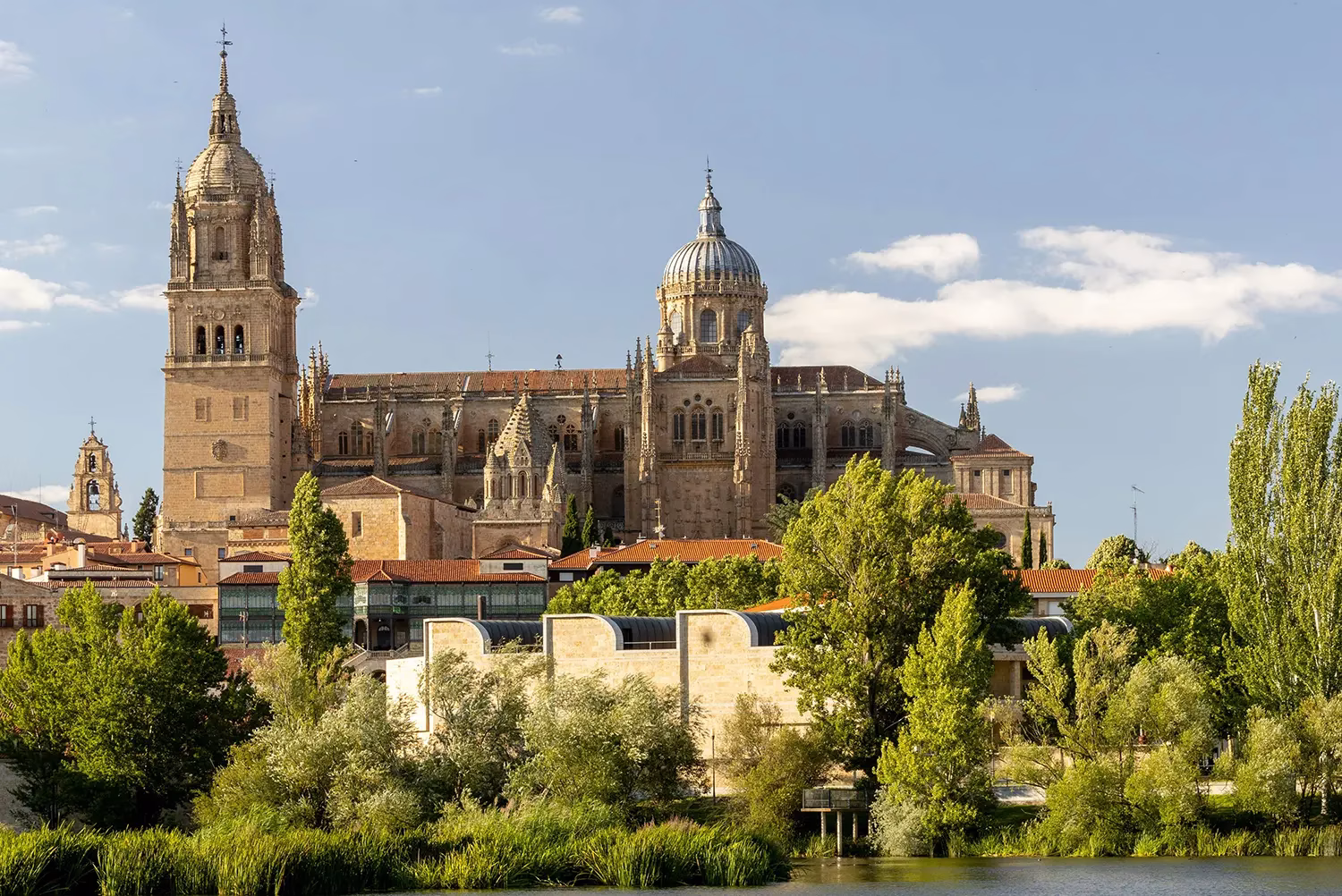 salamanca 1