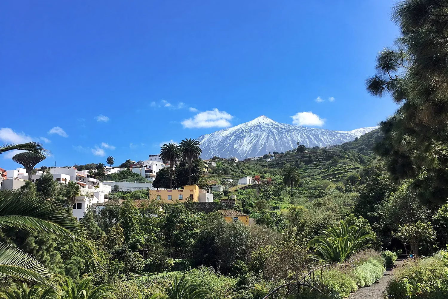 tenerife 2